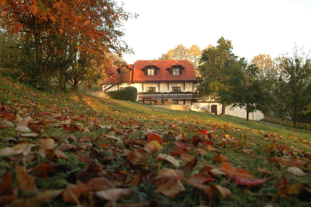 Penzion Dvur Obora  Exteriör bild